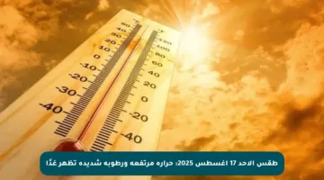 طقس الأحد 17 أغسطس 2025: حرارة مرتفعة ورطوبة شديدة تظهر غدًا
